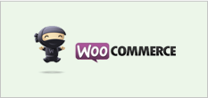 wooconmmerce_box