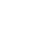 privacy_icon